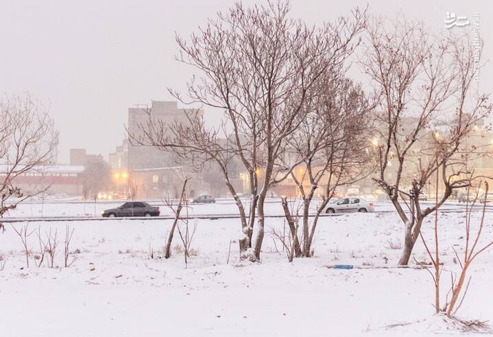 زمستاني،مسرور