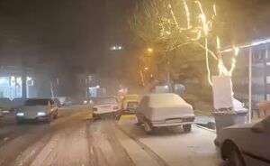 فیلم / بارش سنگین برف در شهرستان پاوه