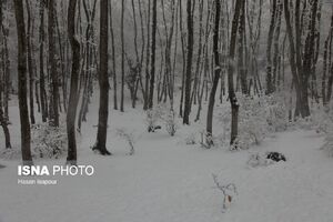 افزایش 11 درصدی آمار بارش در کنار تداوم خشکسالی