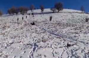 فیلم / نخستین برف زمستانی در ایلام