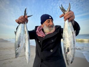 صیادان غزه به دریا بازگشتند