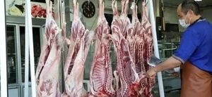 عرضه گوشت ارزان از امروز