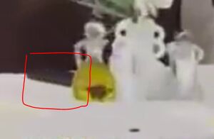 گاف امنیتی وزیر جنگ رژیم صهیونیستی