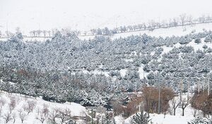 برف آمد، برق رفت، راه‌ها بسته ماند / روستاها چرا هنوز در تاریکی‌اند؟