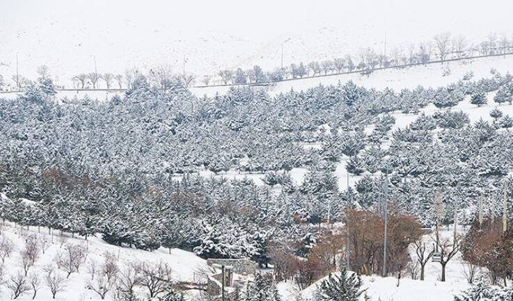 برق،بحران،برف،كردستان،استان،مديريت،روستاهاي،ارتباطي،مناطق،رو ...