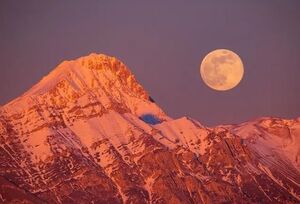 طلوع اَبَرماه گرگ؛ درخشان‌ترین ماه کامل سال در راه است