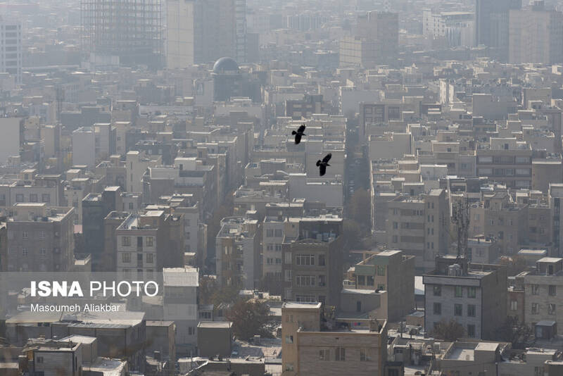 كيفيت،هوا،تهران،هواي،اساس،ناسالم،پايش،ايستگاه،رسمي،آلودگي،رو ...