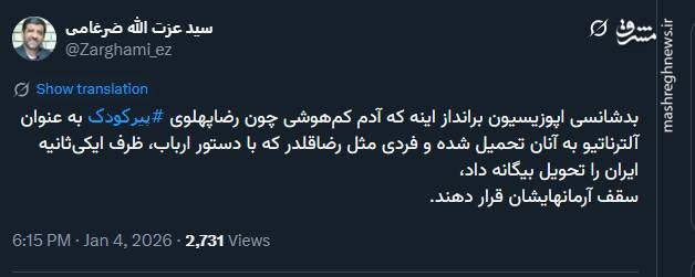ضرغامی: رضا پهلوی پیر کودک است!
