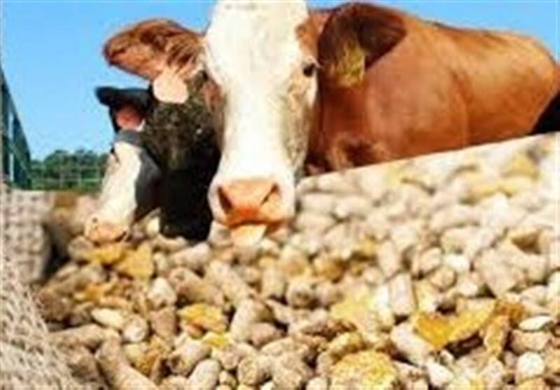 دامي،تسهيلات،كشاورزي،اختيار،تومان،توليد