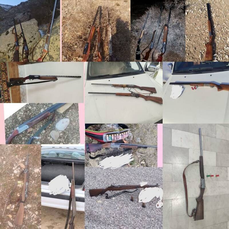 زيست،محيط،زني،حفاظت،قبضه،اسلحه،همراه،شكاري،لاشه