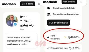 عکس/ انقلاب با پادشاه فیک!