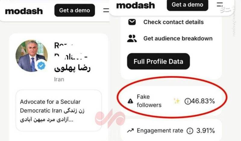 انقلاب با پادشاه فیک!