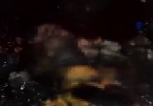 شهادت حافظ امنیت به شیوه داعش توسط تروریست های مسلح