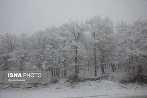 برف و باران و باد در ۲۸ استان/ احتمال آبگرفتگی معابر