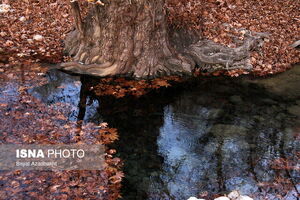 میانگین بارش ایران مثبت شد اما چرا خشکسالی ادامه داشت؟