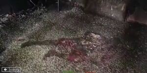 تصویر دردناک از پسر ۱۸ ساله روی فرش سوخته مسجد | ویدئو