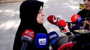 فیلم/ واکنش سخنگوی دولت به شایعه جمع آوری دیش‌های ماهواره