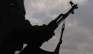 اذعان رسانه صهیونیست به مسلح کردن گروه‌های آشوب‌طلب در ایران