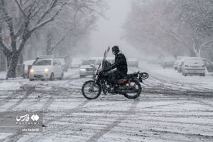 عکس/ بارش برف در تبریز