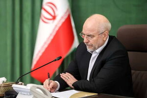 رئیس مجلس رحلت آیت الله سید هادی سیستانی را تسلیت گفت