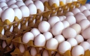 قیمت هر شانه تخم مرغ به کمتر از ۴۰۰ هزار تومان رسید