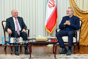 دیدار وزیر خارجه عراق و با دبیر شورای عالی امنیت ملی