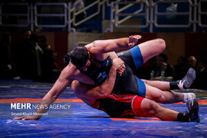 فدراسیون کشتی به‌دنبال حل مشکل سفر به کرواسی