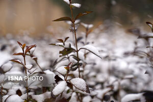 تداوم روند کاهش دما و بارش در کشور