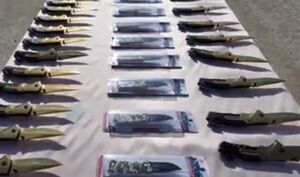 کشف محموله سلاح سرد در بوشهر
