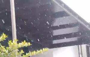 بارش برف در تهران