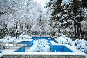 تصاویری از بارش برف در دماوند