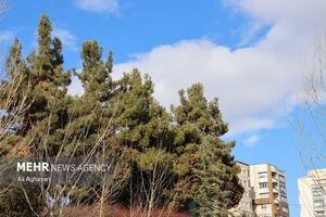 هوای تهران پاک شد