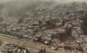 خسارات سنگین آتش‌سوزی در جنگل‌های شیلی