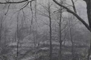 بارش برف در کوهپایه‌های گیلان