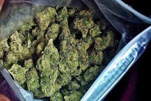 کشف ۴.۵ کیلوگرم مخدر از گل فروش شمال تهران