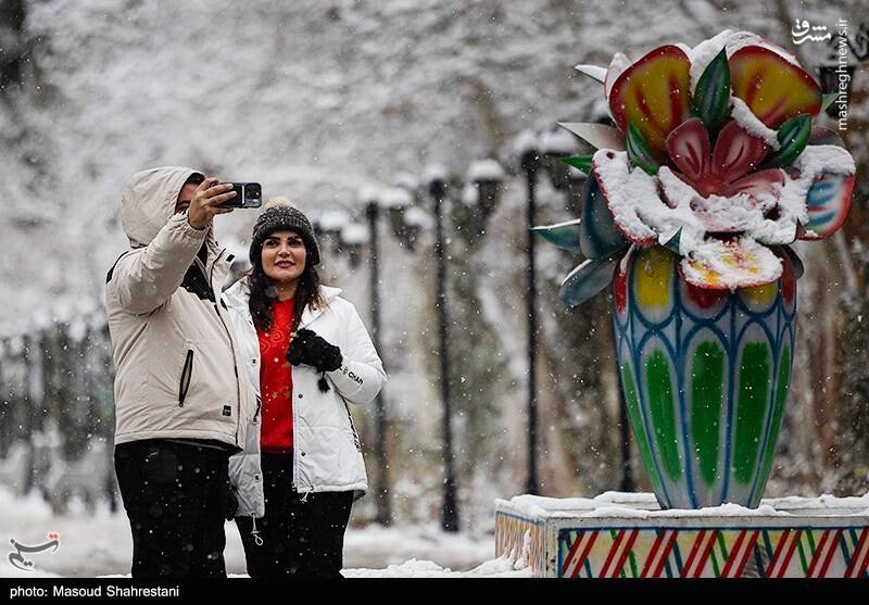 تهران برفی به روایت تصویر
