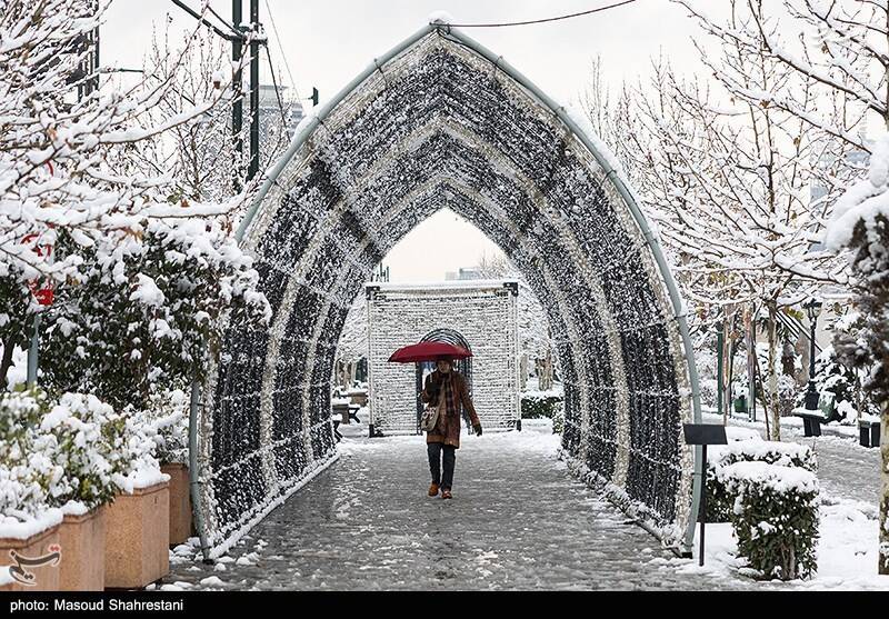 تهران برفی به روایت تصویر