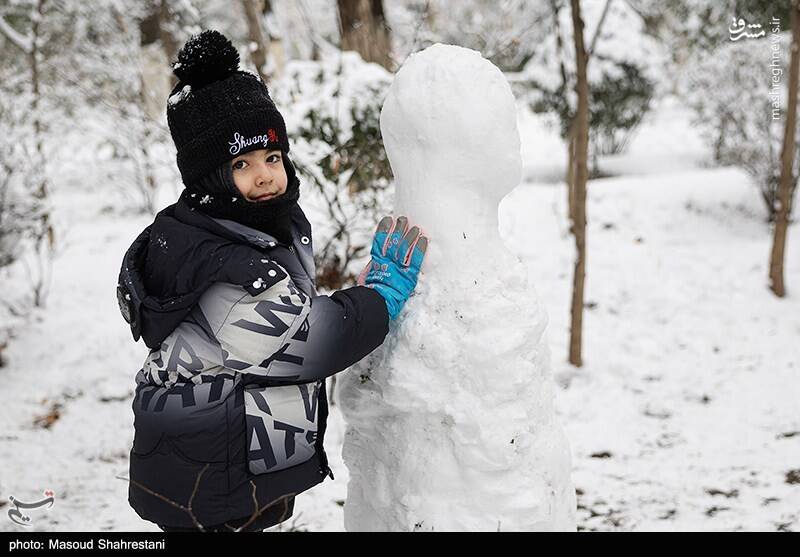 تهران برفی به روایت تصویر
