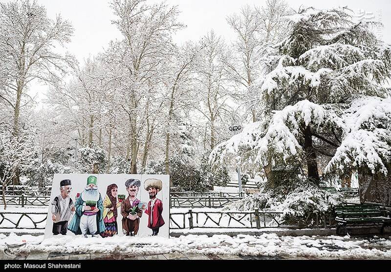 تهران برفی به روایت تصویر