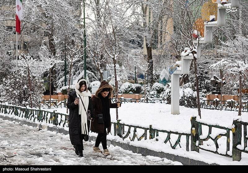 تهران برفی به روایت تصویر