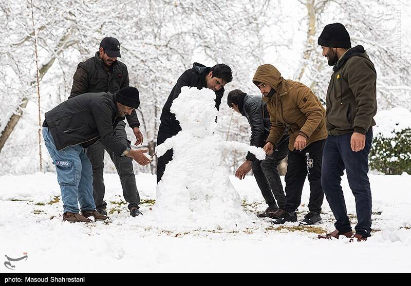 تهران برفی به روایت تصویر