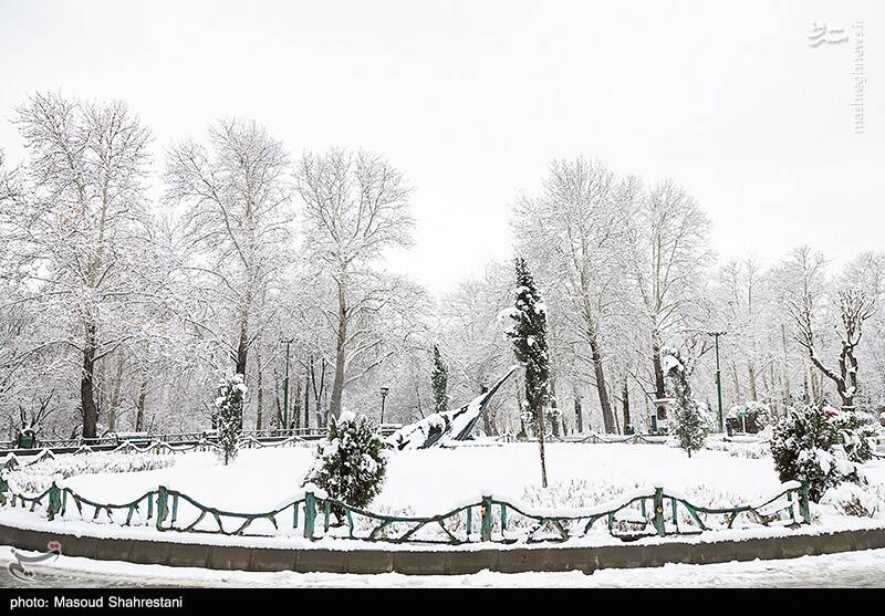 تهران برفی به روایت تصویر