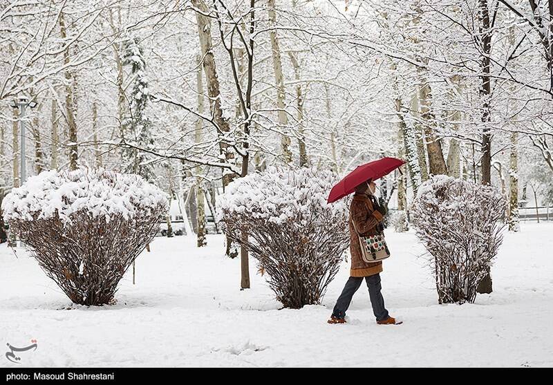 تهران برفی به روایت تصویر