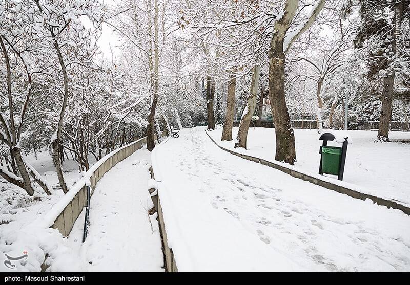 تهران برفی به روایت تصویر
