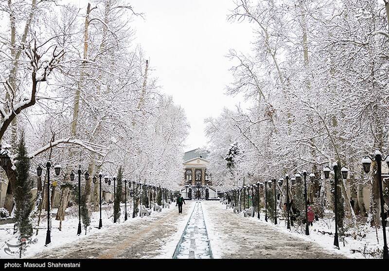 تهران برفی به روایت تصویر