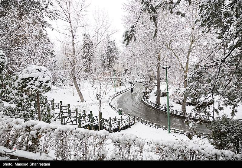 تهران برفی به روایت تصویر