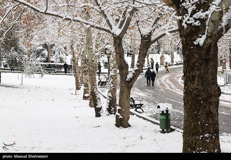 تهران برفی به روایت تصویر