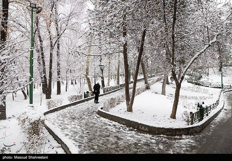 تهران برفی به روایت تصویر