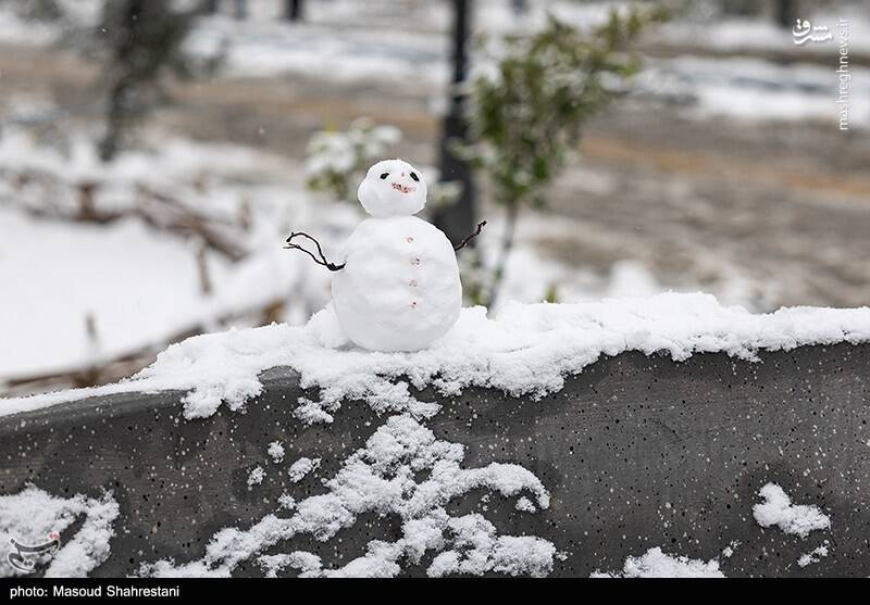 تهران برفی به روایت تصویر
