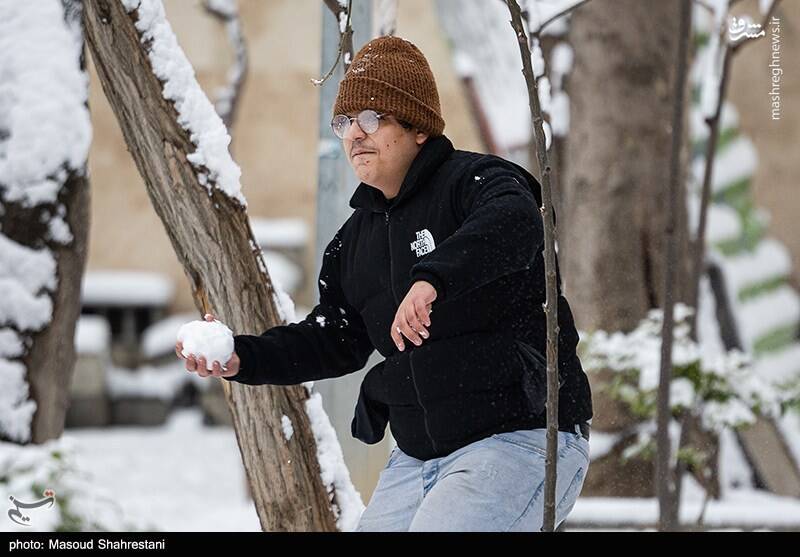 تهران برفی به روایت تصویر